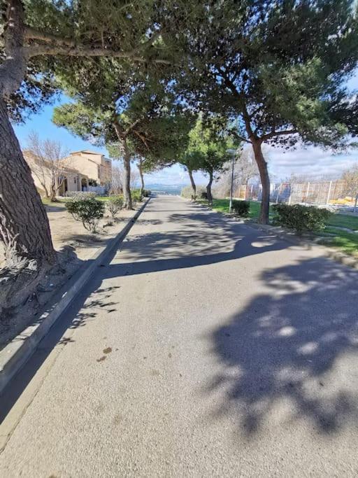 Appartement Joli Dans En Bord D'etang Le Barcarès